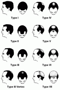 hairanatomy_hairanatomy